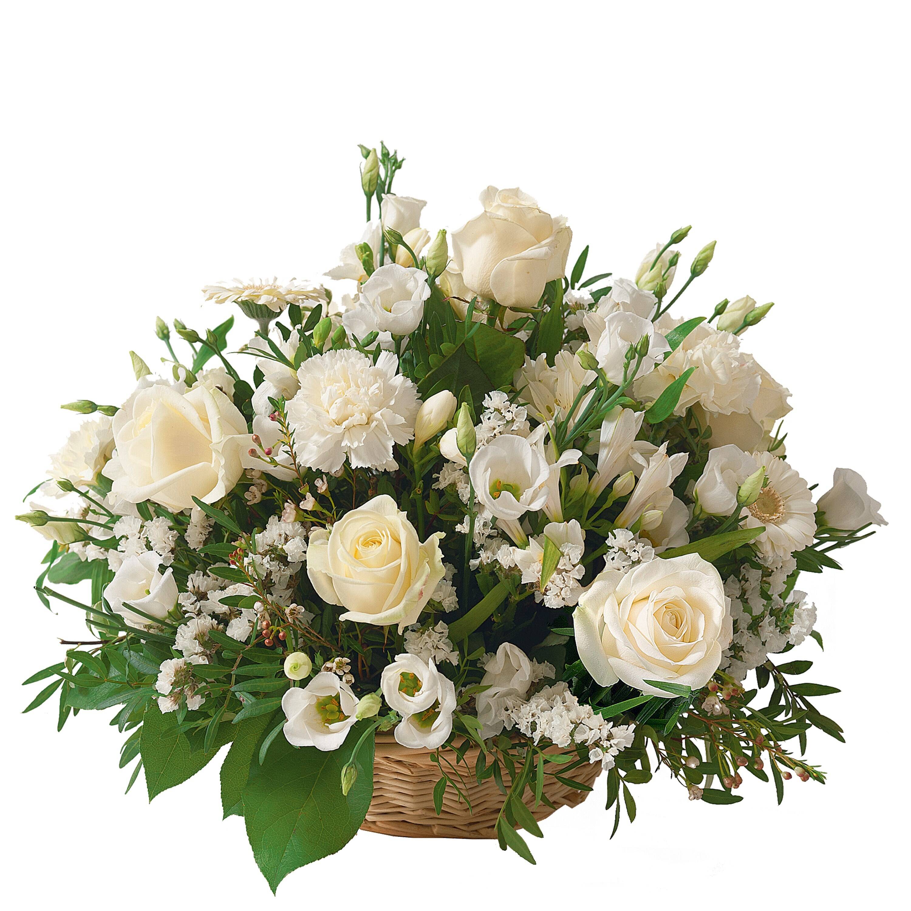 Blume, Blumen-Arrangement, Pflanze, Blumenstrauß, Rose, Blume, Blumen-Arrangement, Pflanze, Blumenstrauß, Rose, Blume, Blumen-Arrangement, Pflanze, Blumenstrauß, Rose, Blume, Blumen-Arrangement, Pflanze, Blumenstrauß, Rose