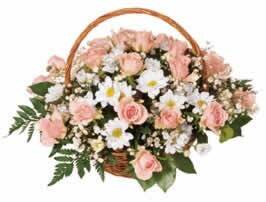 Blume, Blumen-Arrangement, Blumenstrauß, Pflanze, Korb, Blume, Blumen-Arrangement, Blumenstrauß, Pflanze, Korb, Blume, Blumen-Arrangement, Blumenstrauß, Pflanze, Korb, Blume, Blumen-Arrangement, Blumenstrauß, Pflanze, Korb