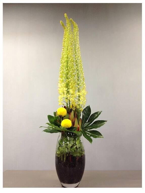 Blume, Blumen-Arrangement, Pflanze, Ikebana, Topfpflanze, Blume, Blumen-Arrangement, Pflanze, Ikebana, Topfpflanze, Blume, Blumen-Arrangement, Pflanze, Ikebana, Topfpflanze, Blume, Blumen-Arrangement, Pflanze, Ikebana, Topfpflanze