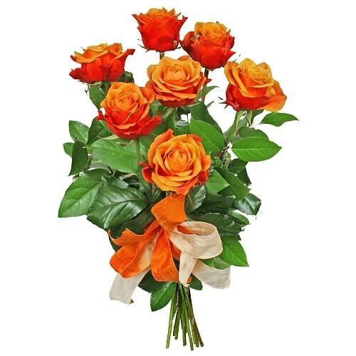 Blume, Pflanze, Rose, Blumen-Arrangement, Blumenstrauß, Blume, Pflanze, Rose, Blumen-Arrangement, Blumenstrauß, Blume, Pflanze, Rose, Blumen-Arrangement, Blumenstrauß, Blume, Pflanze, Rose, Blumen-Arrangement, Blumenstrauß
