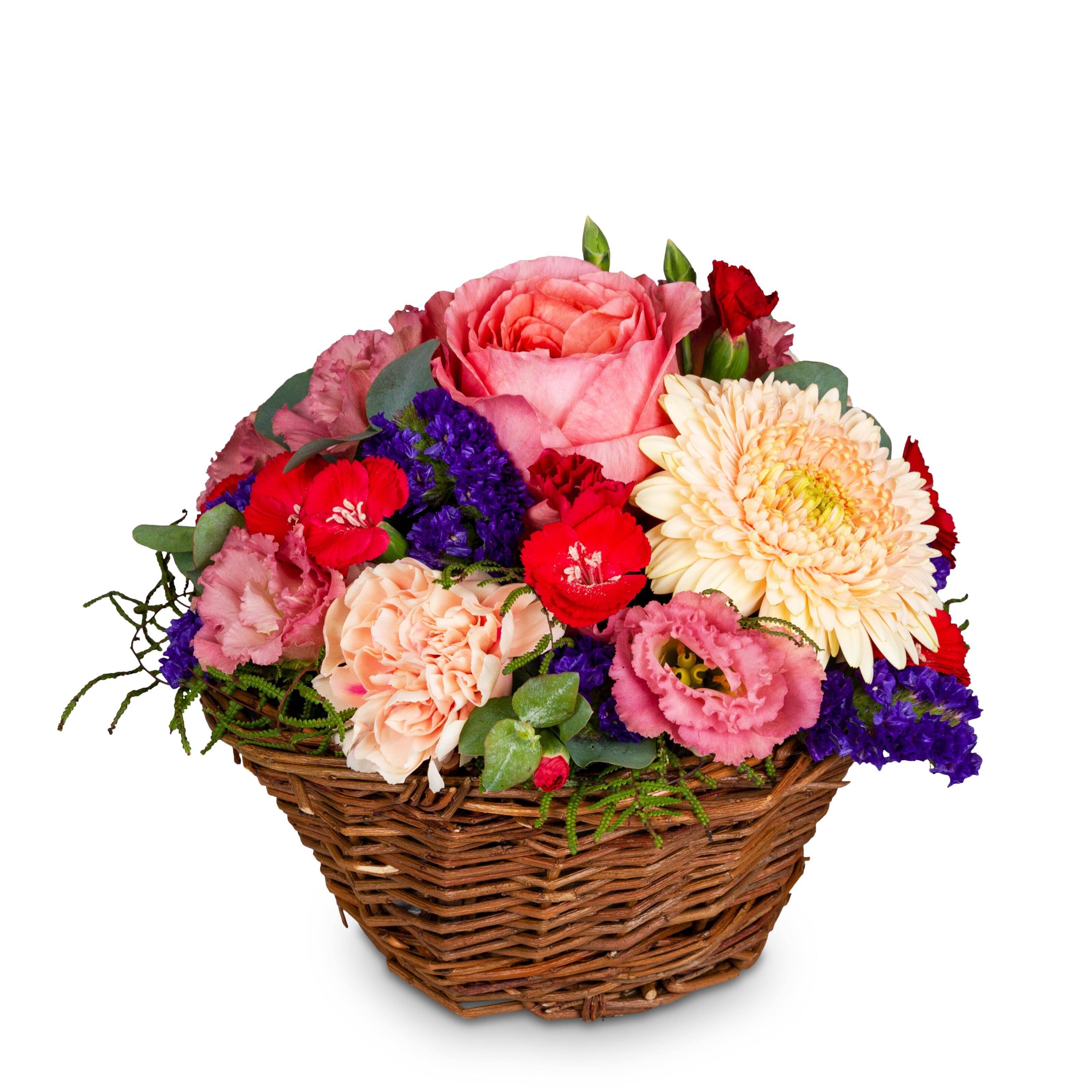 blume, strauß, korb, blumen, vielfalt, Blumenkorb, bunte Blumen, Rosen, Pfingstrosen, Gänseblümchen, blume, blumenstrauß, korb, rosen, flora, Blumenkorb, Blumenarrangement, Pinkblume, Rotblume, Gerbera