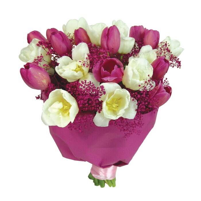 Blume, Blumen-Arrangement, Blumenstrauß, Blütenblatt, Rose, Blume, Blumen-Arrangement, Blumenstrauß, Blütenblatt, Rose, Blume, Blumen-Arrangement, Blumenstrauß, Blütenblatt, Rose, Blume, Blumen-Arrangement, Blumenstrauß, Blütenblatt, Rose