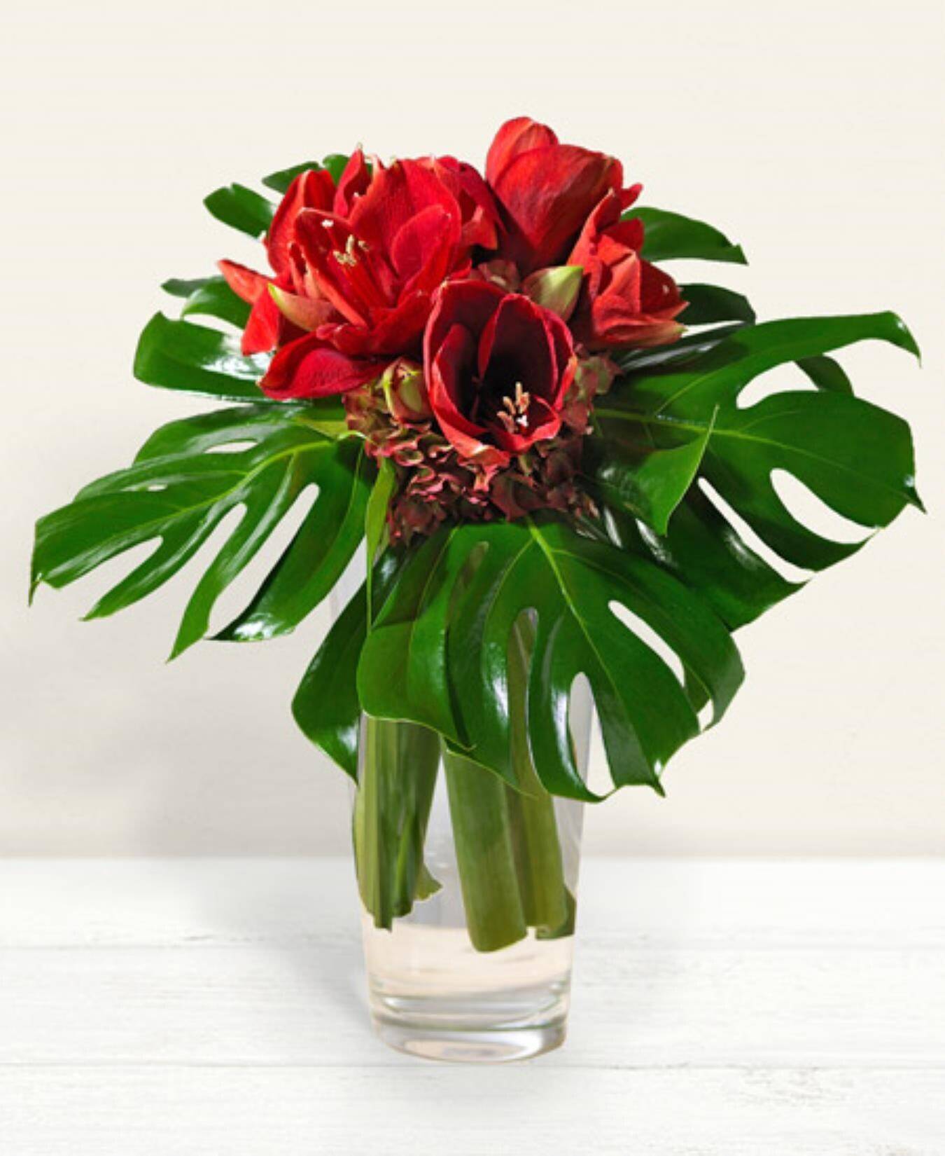 Blume, Blumen-Arrangement, Pflanze, Blumenstrauß, Rose, Blume, Blumen-Arrangement, Pflanze, Blumenstrauß, Rose, Blume, Blumen-Arrangement, Pflanze, Blumenstrauß, Rose, Blume, Blumen-Arrangement, Pflanze, Blumenstrauß, Rose