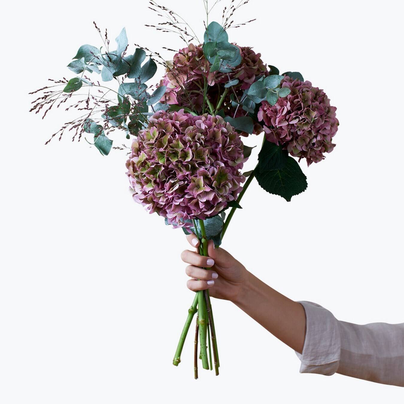 Blume, Blumen-Arrangement, Blumenstrauß, Pflanze, Florales Design, Blume, Blumen-Arrangement, Blumenstrauß, Pflanze, Florales Design, hortensie, Bouquet, Blume, Stiele, handlich, blumen, Bouquet, Rosenähnlich, handgehalten, grüne stiele