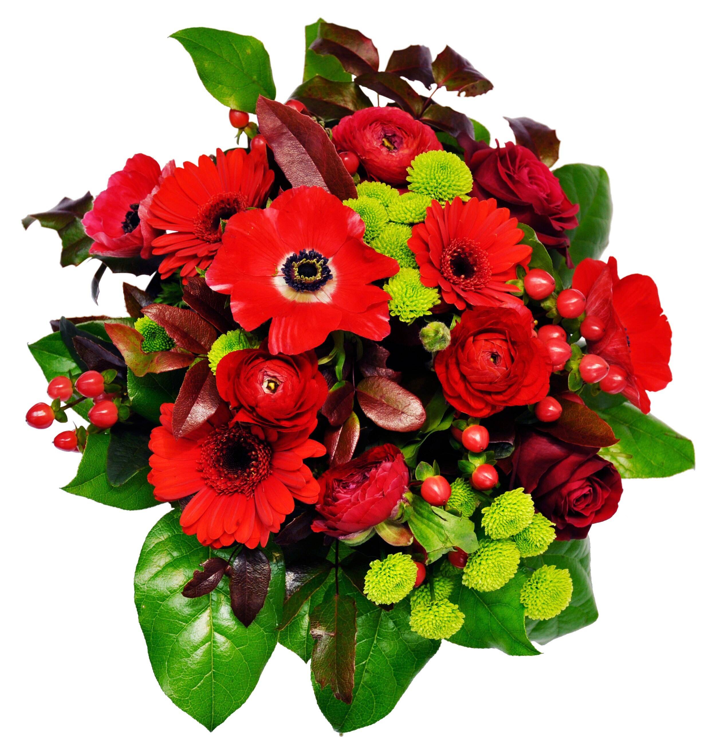 Blume, Blumen-Arrangement, Blumenstrauß, Pflanze, Rose, Blume, Blumen-Arrangement, Blumenstrauß, Pflanze, Rose, Blume, Blumen-Arrangement, Blumenstrauß, Pflanze, Rose, Blume, Blumen-Arrangement, Blumenstrauß, Pflanze, Rose
