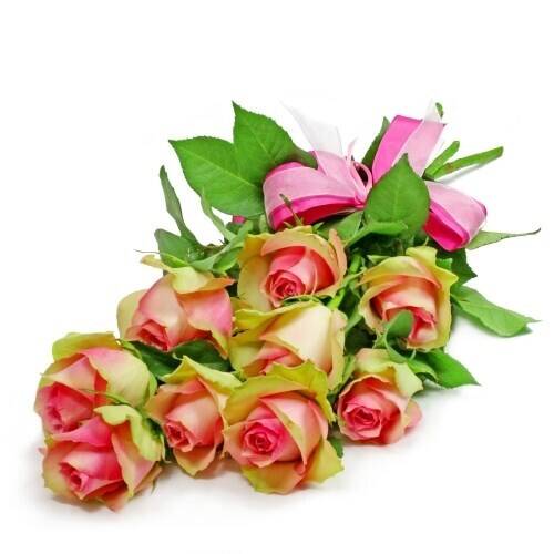Blume, Blumen-Arrangement, Blumenstrauß, Pflanze, Rose, Blume, Blumen-Arrangement, Blumenstrauß, Pflanze, Rose, Blume, Blumen-Arrangement, Blumenstrauß, Pflanze, Rose, Blume, Blumen-Arrangement, Blumenstrauß, Pflanze, Rose