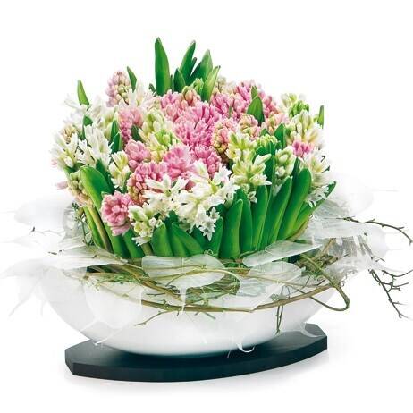 Blume, Blumen-Arrangement, Pflanze, Blumenstrauß, Ikebana, Blume, Blumen-Arrangement, Pflanze, Blumenstrauß, Ikebana, Blume, Blumen-Arrangement, Pflanze, Blumenstrauß, Ikebana, Blume, Blumen-Arrangement, Pflanze, Blumenstrauß, Ikebana