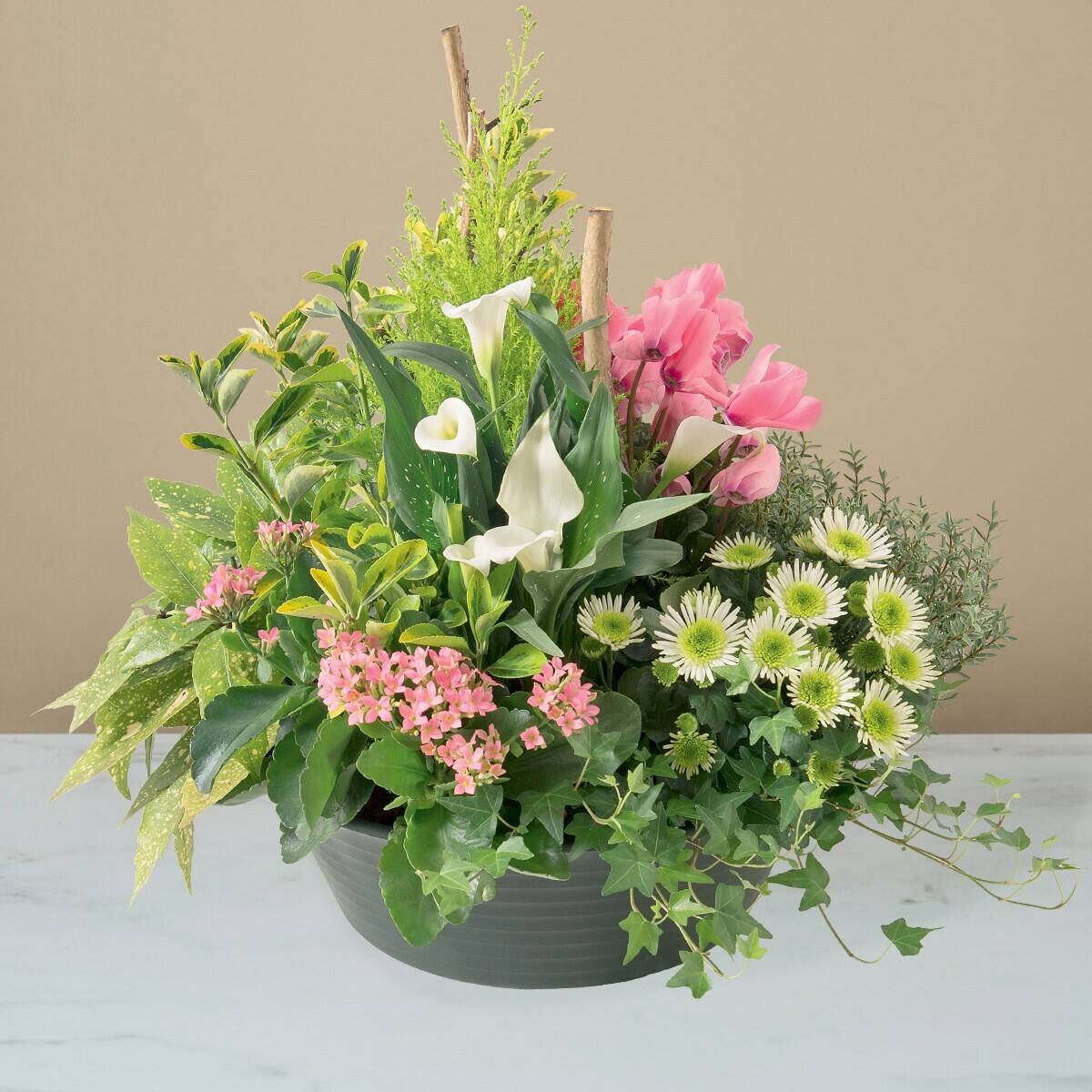 Blume, Blumen-Arrangement, Pflanze, Blumenstrauß, Florales Design, Blume, Blumen-Arrangement, Pflanze, Blumenstrauß, Florales Design, Blume, Blumen-Arrangement, Pflanze, Blumenstrauß, Florales Design