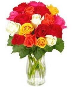 Blume, Blumen-Arrangement, Blumenstrauß, Pflanze, Rose, Blume, Blumen-Arrangement, Blumenstrauß, Pflanze, Rose, Blume, Blumen-Arrangement, Blumenstrauß, Pflanze, Rose, Blume, Blumen-Arrangement, Blumenstrauß, Pflanze, Rose
