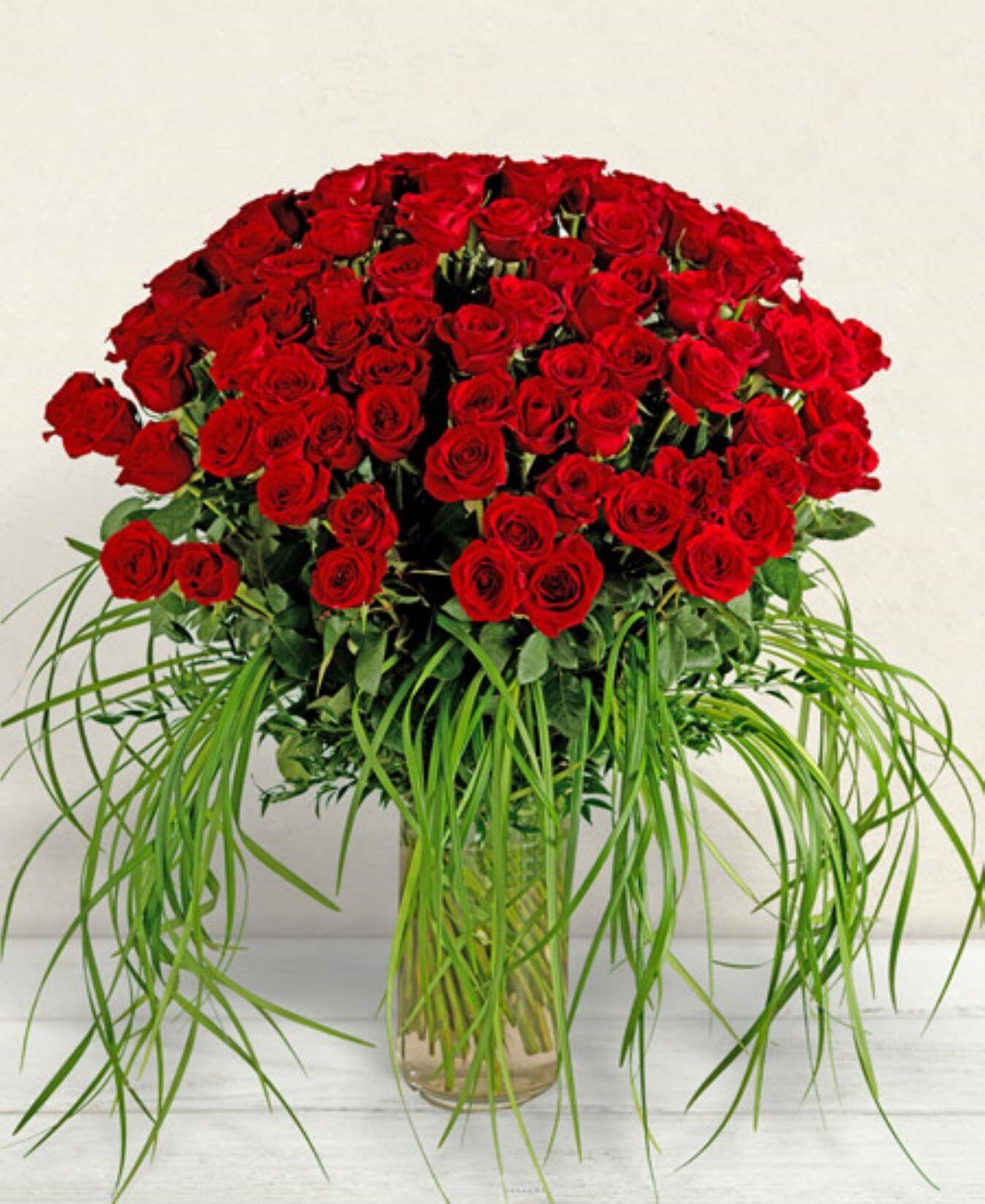 Blume, Blumen-Arrangement, Pflanze, Blumenstrauß, Rose, Blume, Blumen-Arrangement, Pflanze, Blumenstrauß, Rose, Blume, Blumen-Arrangement, Pflanze, Blumenstrauß, Rose, Blume, Blumen-Arrangement, Pflanze, Blumenstrauß, Rose