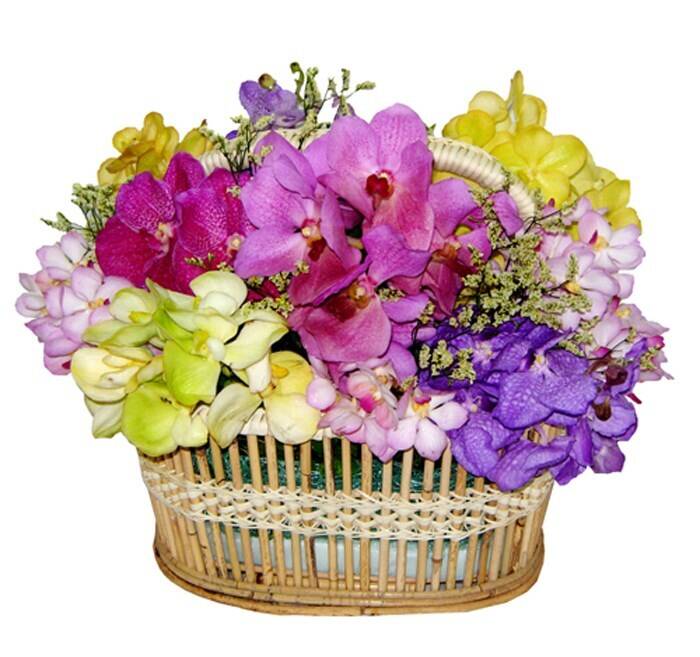Blume, Blumen-Arrangement, Pflanze, Blumenstrauß, Korb, Blume, Blumen-Arrangement, Pflanze, Blumenstrauß, Korb, Blume, Blumen-Arrangement, Pflanze, Blumenstrauß, Korb, Blume, Blumen-Arrangement, Pflanze, Blumenstrauß, Korb