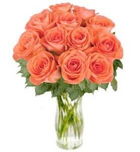 Blume, Blumen-Arrangement, Blumenstrauß, Pflanze, Rose, Blume, Blumen-Arrangement, Blumenstrauß, Pflanze, Rose, Blume, Blumen-Arrangement, Blumenstrauß, Pflanze, Rose, Blume, Blumen-Arrangement, Blumenstrauß, Pflanze, Rose