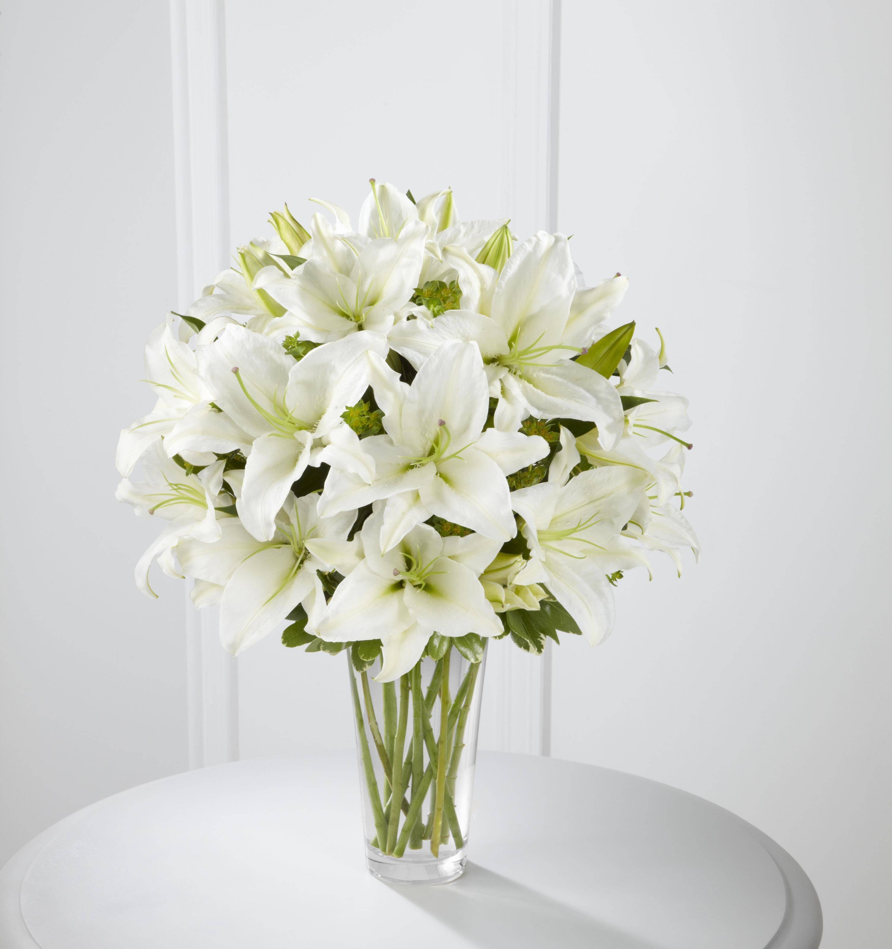 Blume, Blumen-Arrangement, Pflanze, Blumenstrauß, Blume, Blumen-Arrangement, Pflanze, Blumenstrauß, Blume, Blumen-Arrangement, Pflanze, Blumenstrauß, Blume, Blumen-Arrangement, Pflanze, Blumenstrauß, Blume, Blumen-Arrangement, Pflanze, Blumenstrauß