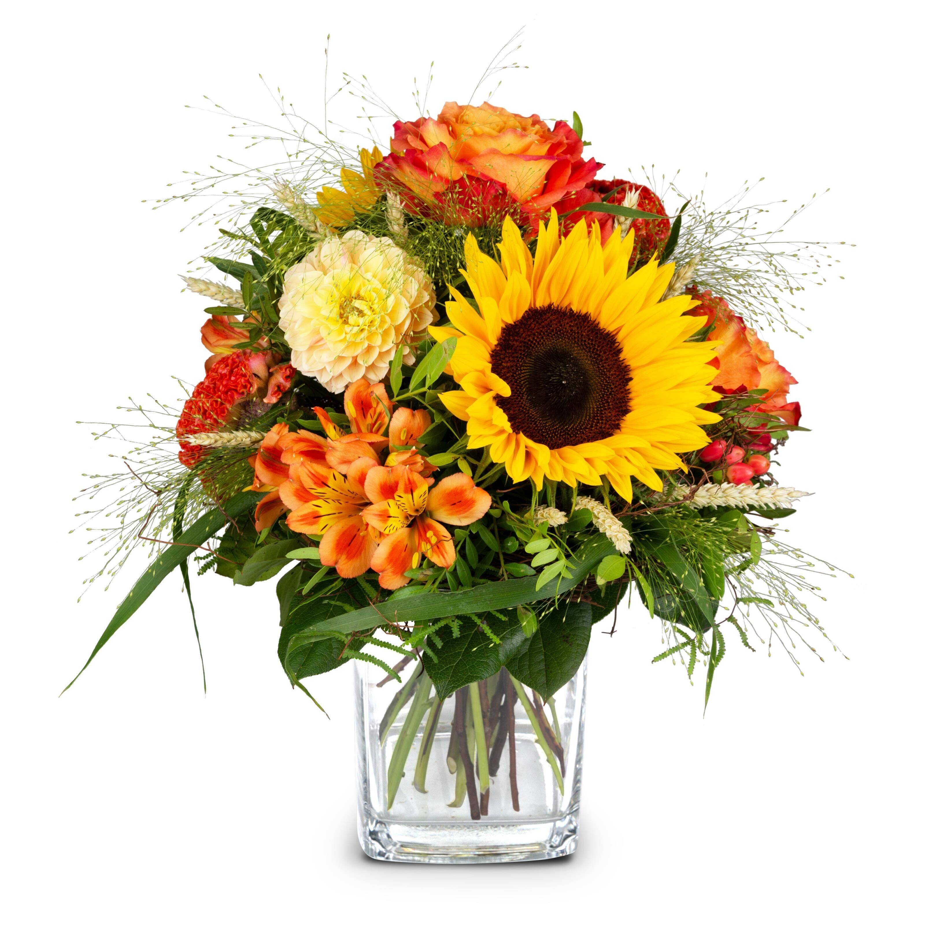 Blume, Blumen-Arrangement, Pflanze, Blumenstrauß, Blume, Blumen-Arrangement, Pflanze, Blumenstrauß, Blume, Blumen-Arrangement, Pflanze, Blumenstrauß, Blume, Blumen-Arrangement, Pflanze, Blumenstrauß, Blume, Blumen-Arrangement, Pflanze, Blumenstrauß