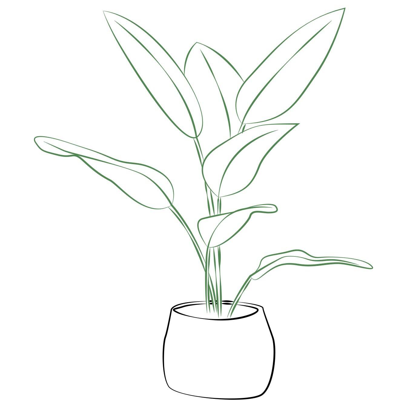 Blatt, Pflanze, Blume, Blumen-Arrangement, Topfpflanze, Blatt, Pflanze, Blume, Blumen-Arrangement, Topfpflanze, Blatt, Pflanze, Blume, Blumen-Arrangement, Topfpflanze, Blatt, Pflanze, Blume, Blumen-Arrangement, Topfpflanze