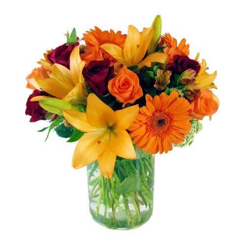 Blume, Blumen-Arrangement, Blumenstrauß, Pflanze, Florales Design, Blume, Blumen-Arrangement, Blumenstrauß, Pflanze, Florales Design, Blume, Blumen-Arrangement, Blumenstrauß, Pflanze, Florales Design, Blumenstrauß, Blumen, Vase, Orange, Rosen