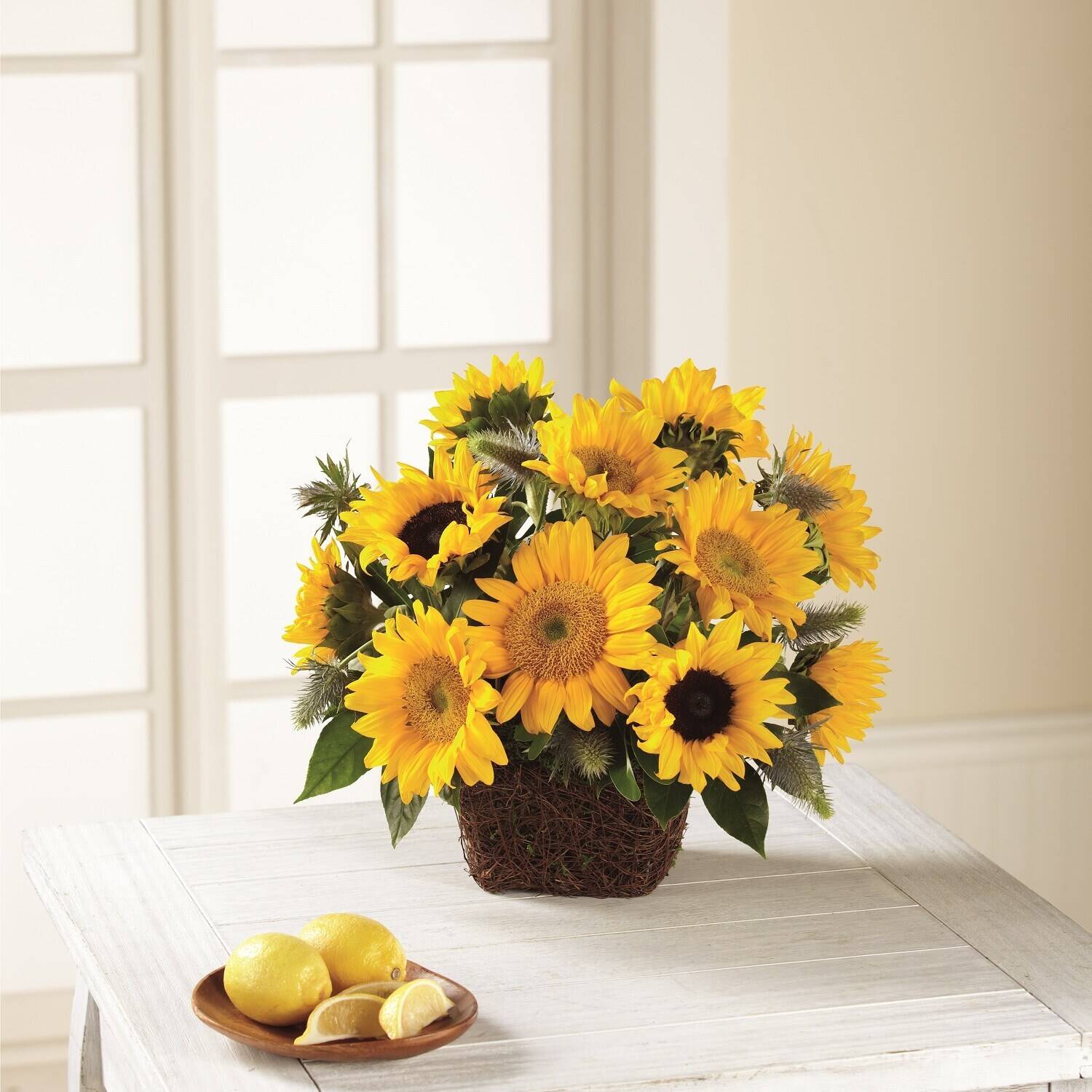 Blume, Blumen-Arrangement, Blumenstrauß, Sonnenblume, Gänseblümchen, Blume, Blumen-Arrangement, Blumenstrauß, Sonnenblume, Gänseblümchen, Blume, Blumen-Arrangement, Blumenstrauß, Sonnenblume, Gänseblümchen