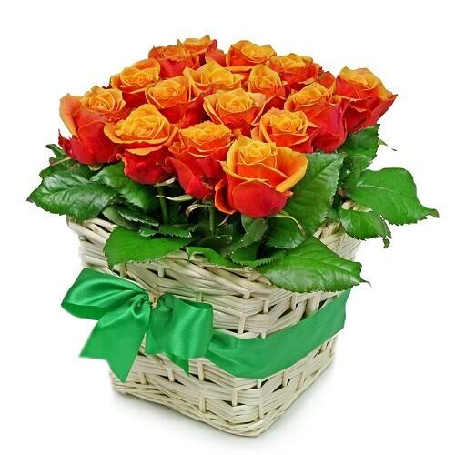 Blume, Rose, Blumen-Arrangement, Blumenstrauß, Topfpflanze, Blume, Rose, Blumen-Arrangement, Blumenstrauß, Topfpflanze, Blume, Rose, Blumen-Arrangement, Blumenstrauß, Topfpflanze, Blume, Rose, Blumen-Arrangement, Blumenstrauß, Topfpflanze