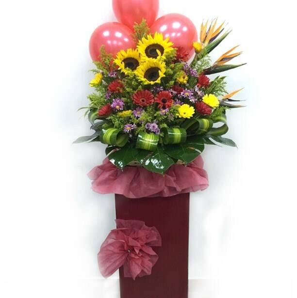 Blume, Blumen-Arrangement, Blumenstrauß, Florales Design, Muster, Blume, Blumen-Arrangement, Blumenstrauß, Florales Design, Muster, Blume, Blumen-Arrangement, Blumenstrauß, Florales Design, Muster