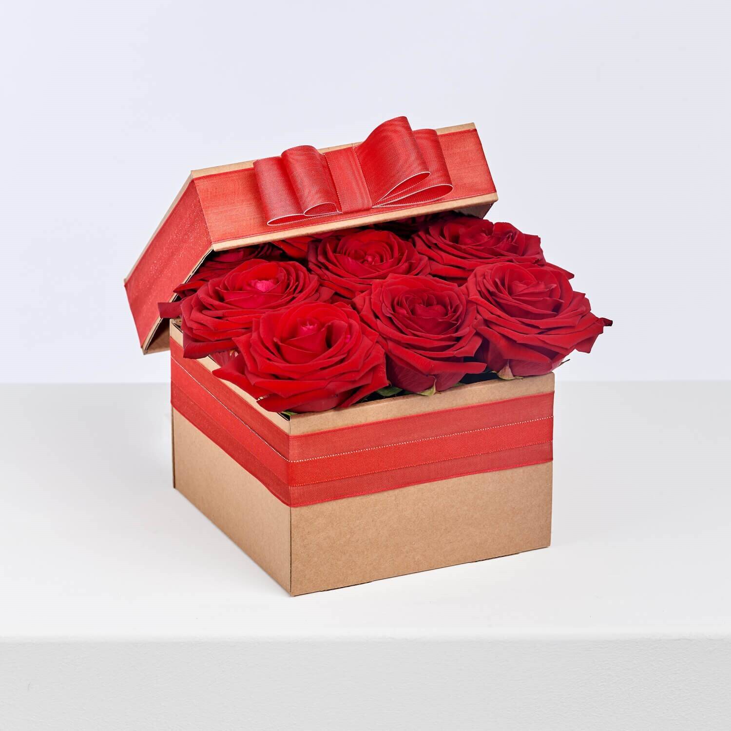 Blume, Pflanze, Rose, Kiste, Blume, Pflanze, Rose, Kiste, Blume, Pflanze, Rose, Kiste, Blume, Pflanze, Rose, Kiste, Blume, Pflanze, Rose, Kiste, Blume, Pflanze, Rose, Kiste, Blume, Pflanze, Rose, Kiste, Blume, Pflanze, Rose, Kiste