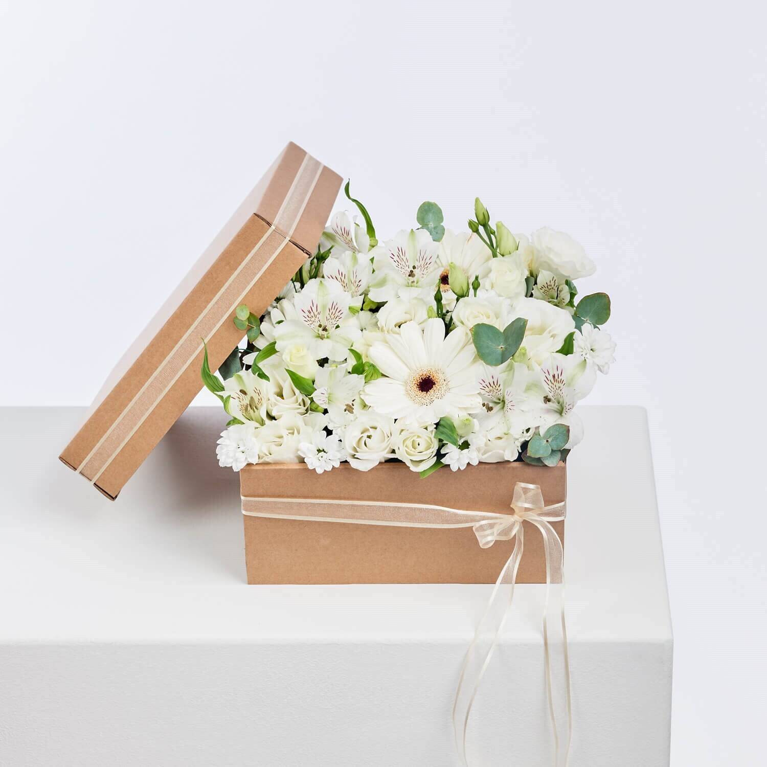 Blume, Blumen-Arrangement, Pflanze, Blumenstrauß, Rose, Blume, Blumen-Arrangement, Pflanze, Blumenstrauß, Rose, Blume, Blumen-Arrangement, Pflanze, Blumenstrauß, Rose, Blume, Blumen-Arrangement, Pflanze, Blumenstrauß, Rose