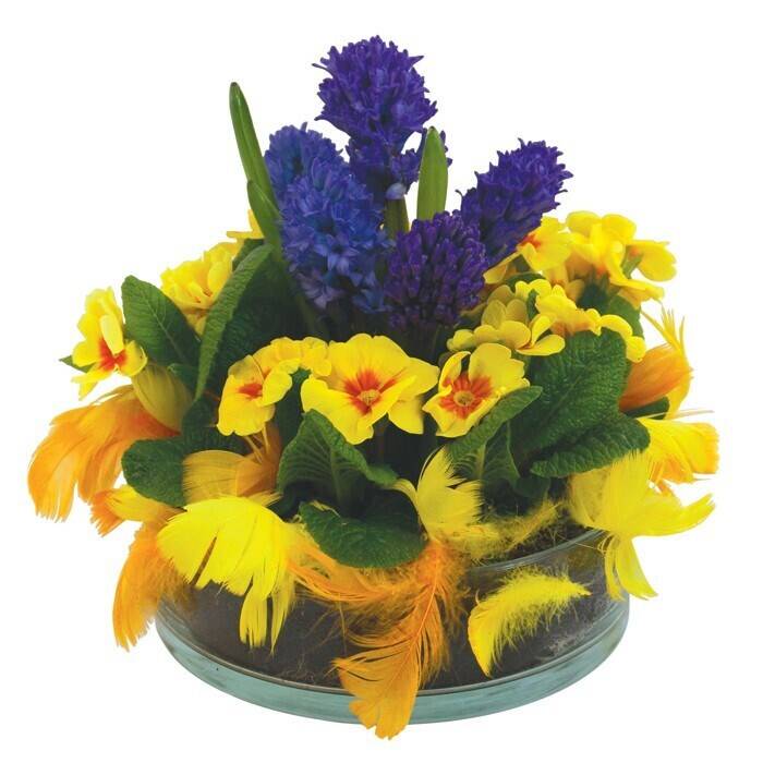 Blume, Blumen-Arrangement, Pflanze, Blumenstrauß, Blume, Blumen-Arrangement, Pflanze, Blumenstrauß, Blume, Blumen-Arrangement, Pflanze, Blumenstrauß, Blume, Blumen-Arrangement, Pflanze, Blumenstrauß, Blume, Blumen-Arrangement, Pflanze, Blumenstrauß