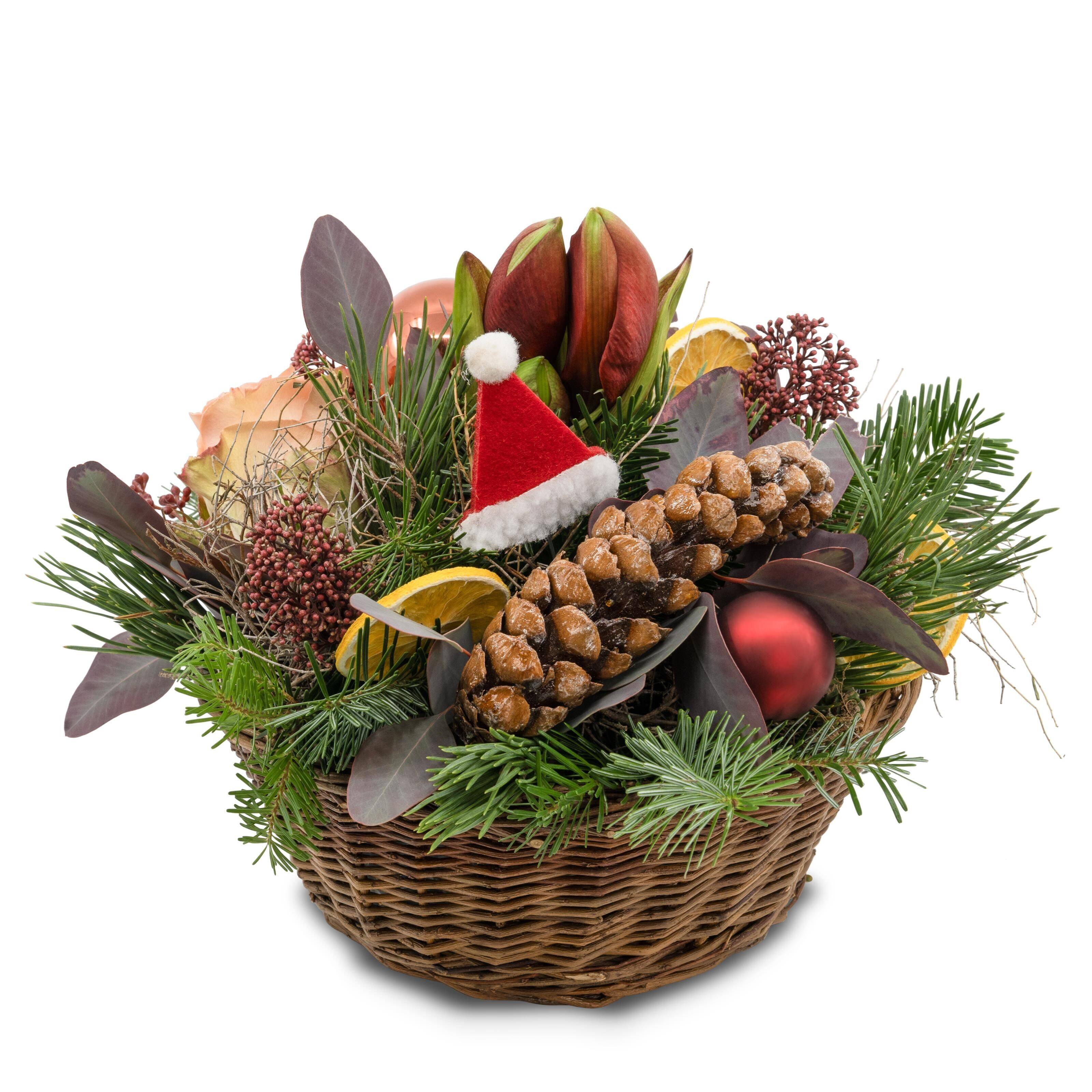 Blume, Blumen-Arrangement, Pflanze, Blumenstrauß, Korb, Blume, Blumen-Arrangement, Pflanze, Blumenstrauß, Korb, Blume, Blumen-Arrangement, Pflanze, Blumenstrauß, Korb, Blume, Blumen-Arrangement, Pflanze, Blumenstrauß, Korb