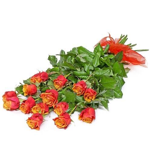 Blume, Rose, Blumen-Arrangement, Blumenstrauß, Blatt, Blume, Rose, Blumen-Arrangement, Blumenstrauß, Blatt, Blume, Rose, Blumen-Arrangement, Blumenstrauß, Blatt, Blume, Rose, Blumen-Arrangement, Blumenstrauß, Blatt