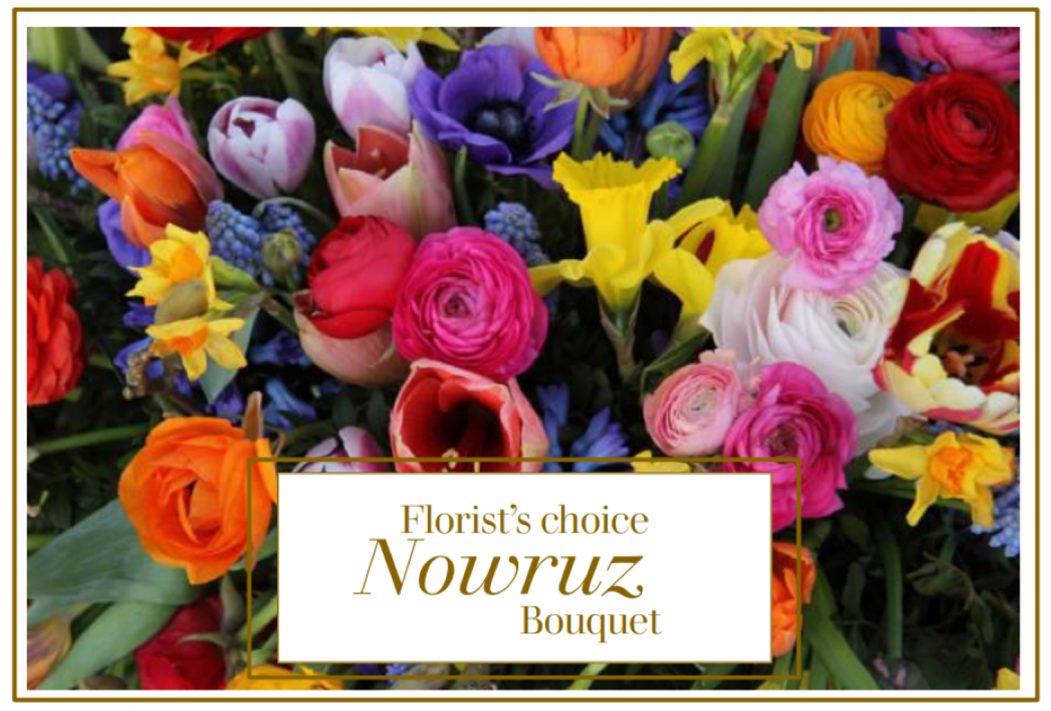 Blume, Rose, Blumen-Arrangement, Blumenstrauß, Blütenblatt, Blume, Rose, Blumen-Arrangement, Blumenstrauß, Blütenblatt, Blume, Rose, Blumen-Arrangement, Blumenstrauß, Blütenblatt, Blume, Rose, Blumen-Arrangement, Blumenstrauß, Blütenblatt