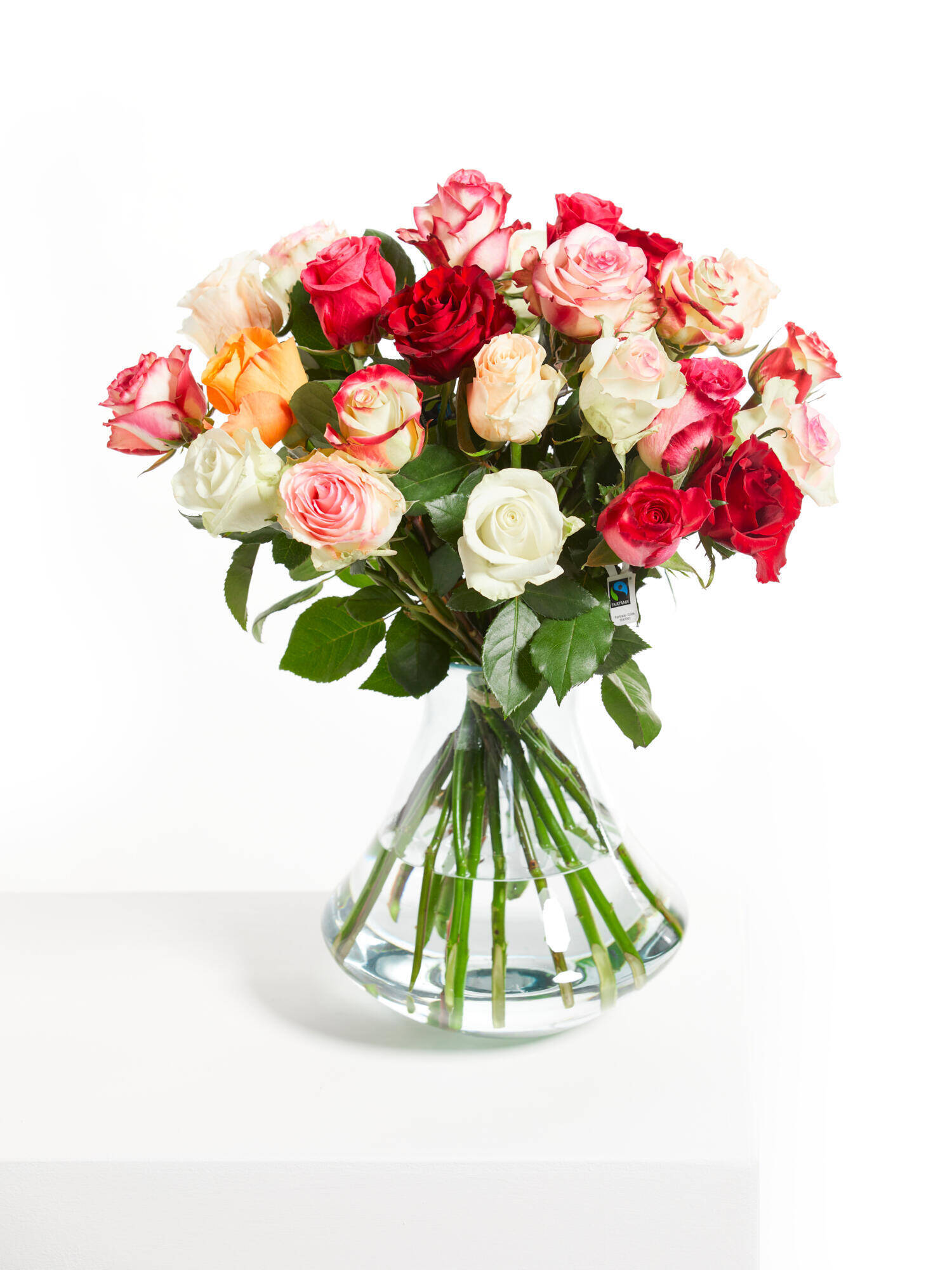 Rose Joy - Main Colors: VARICOLORED - Main Flowers: ROSES