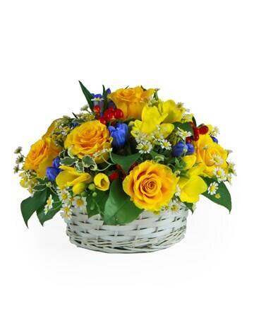 Blume, Blumen-Arrangement, Blumenstrauß, Pflanze, Rose, Blume, Blumen-Arrangement, Blumenstrauß, Pflanze, Rose, Blume, Blumen-Arrangement, Blumenstrauß, Pflanze, Rose, Blume, Blumen-Arrangement, Blumenstrauß, Pflanze, Rose