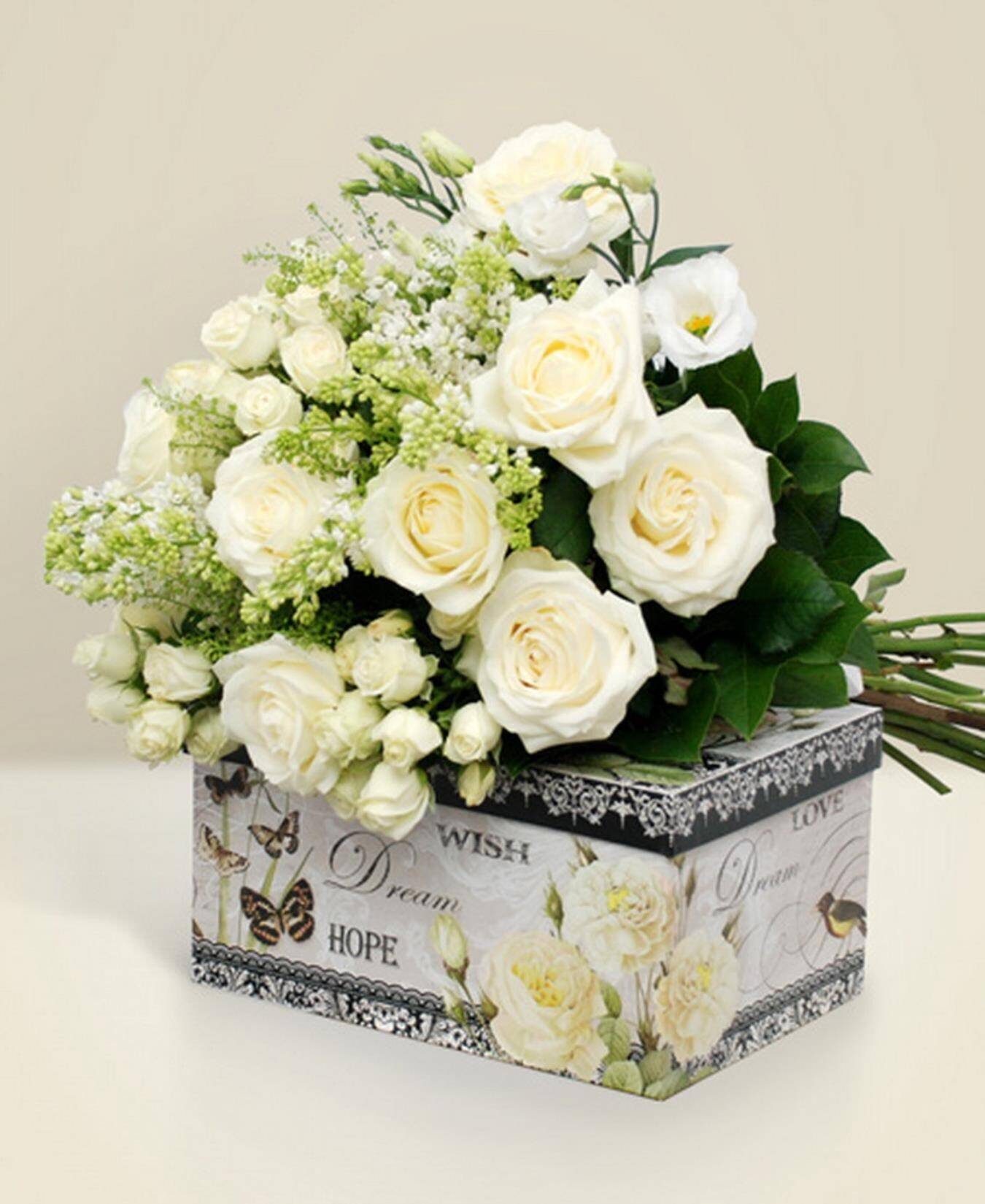 weiße rosen, Blumenstrauß, Geschenkbox, cremefarbene rosen, grünpflanzen, blumenstrauß, weiße rosen, blumengesteck, geschenkbox, grünzeug, blumen, Blumenstrauß, weiße Rosen, Geschenkschachtel, weiße Blüten