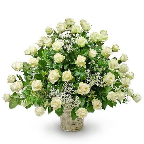 Blume, Blumen-Arrangement, Blumenstrauß, Rose, Topfpflanze, Blume, Blumen-Arrangement, Blumenstrauß, Rose, Topfpflanze, Blume, Blumen-Arrangement, Blumenstrauß, Rose, Topfpflanze, Blume, Blumen-Arrangement, Blumenstrauß, Rose, Topfpflanze