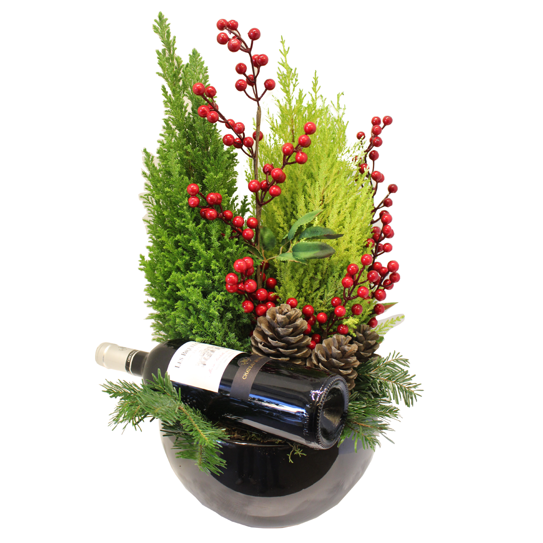 Blume, Blumen-Arrangement, Pflanze, Flasche, Topfpflanze, Blume, Blumen-Arrangement, Pflanze, Flasche, Topfpflanze, Blume, Blumen-Arrangement, Pflanze, Flasche, Topfpflanze, Blume, Blumen-Arrangement, Pflanze, Flasche, Topfpflanze