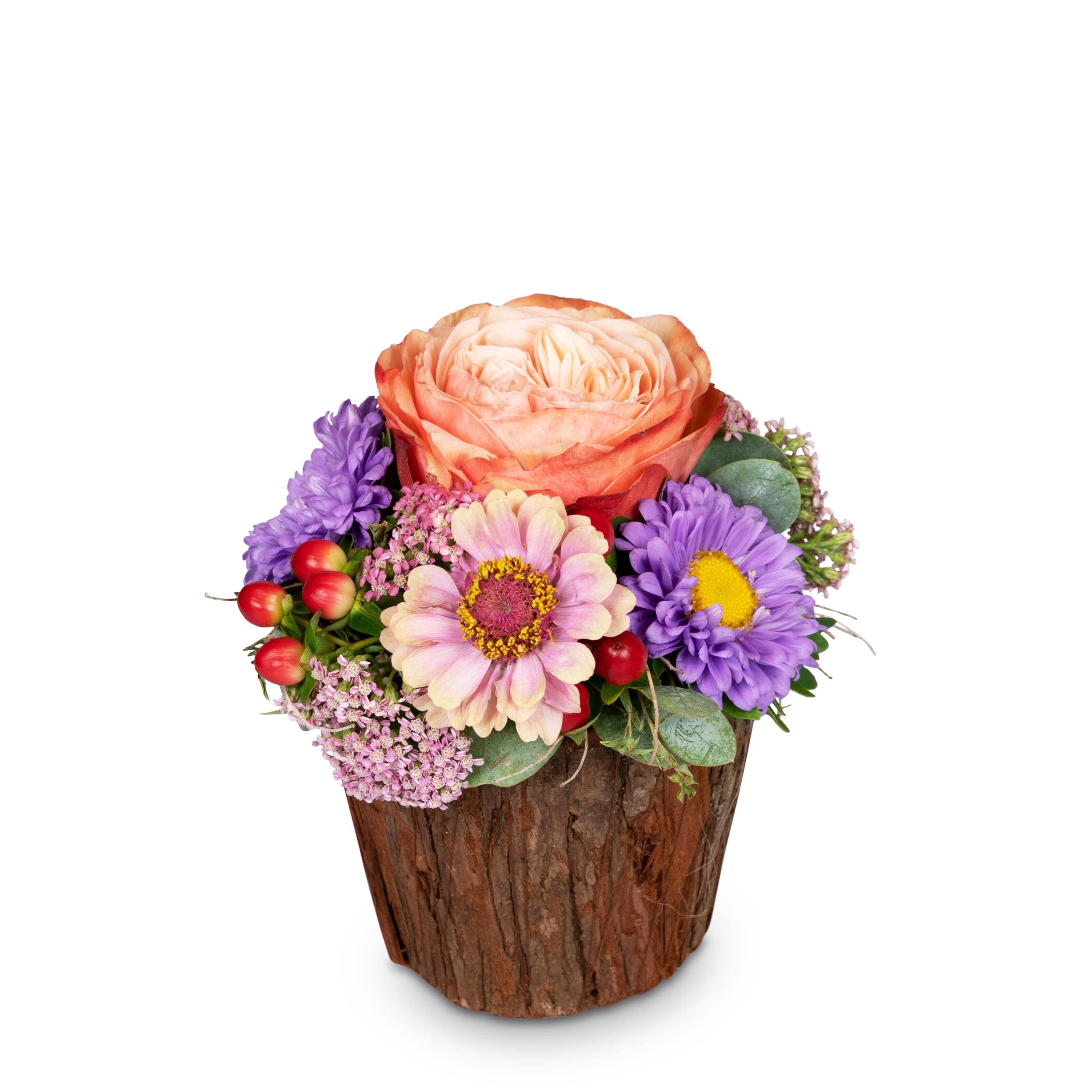 Blume, Blumen-Arrangement, Blumenstrauß, Rose, Florales Design, Blume, Blumen-Arrangement, Blumenstrauß, Rose, Florales Design, Blume, Blumen-Arrangement, Blumenstrauß, Rose, Florales Design, blume, Blumenstrauß, Florale, Anordnung, Behälter