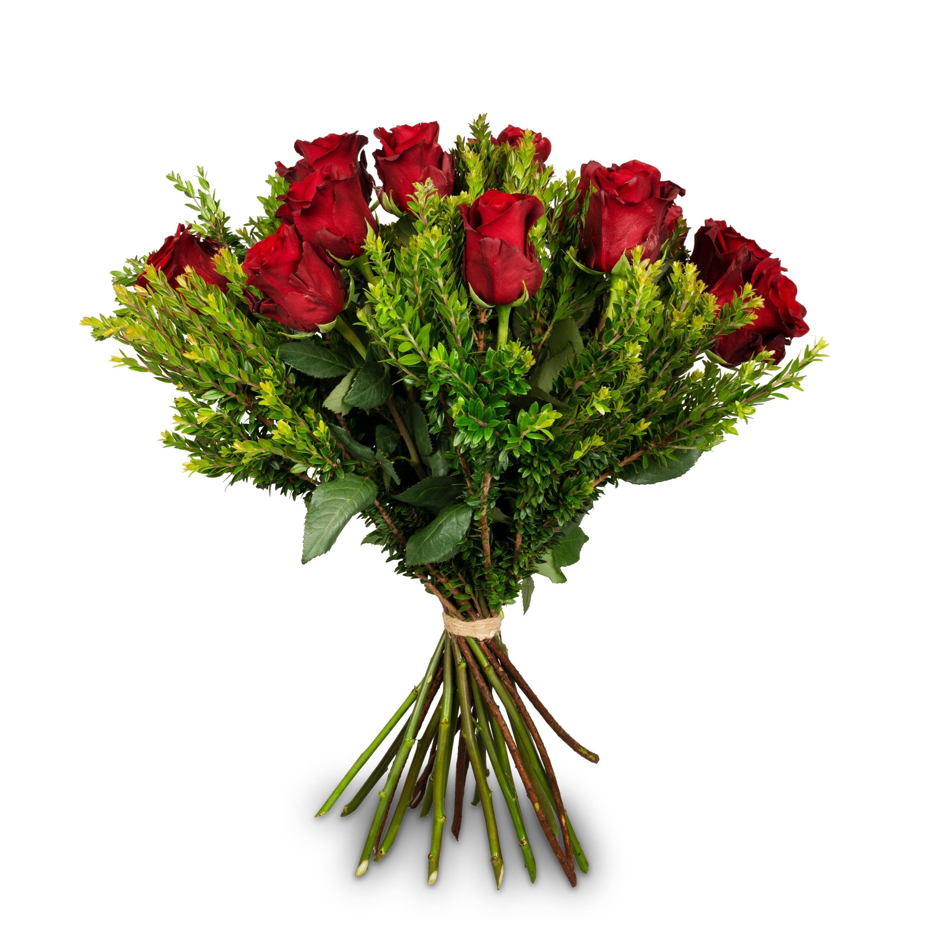 Blume, Blumen-Arrangement, Blumenstrauß, Pflanze, Rose, Blume, Blumen-Arrangement, Blumenstrauß, Pflanze, Rose, Blume, Blumen-Arrangement, Blumenstrauß, Pflanze, Rose, Blume, Blumen-Arrangement, Blumenstrauß, Pflanze, Rose