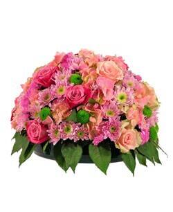 Blume, Blumen-Arrangement, Blumenstrauß, Pflanze, Pflanze im Topf, Blume, Blumen-Arrangement, Blumenstrauß, Pflanze, Pflanze im Topf, Blume, Blumen-Arrangement, Blumenstrauß, Pflanze, Pflanze im Topf