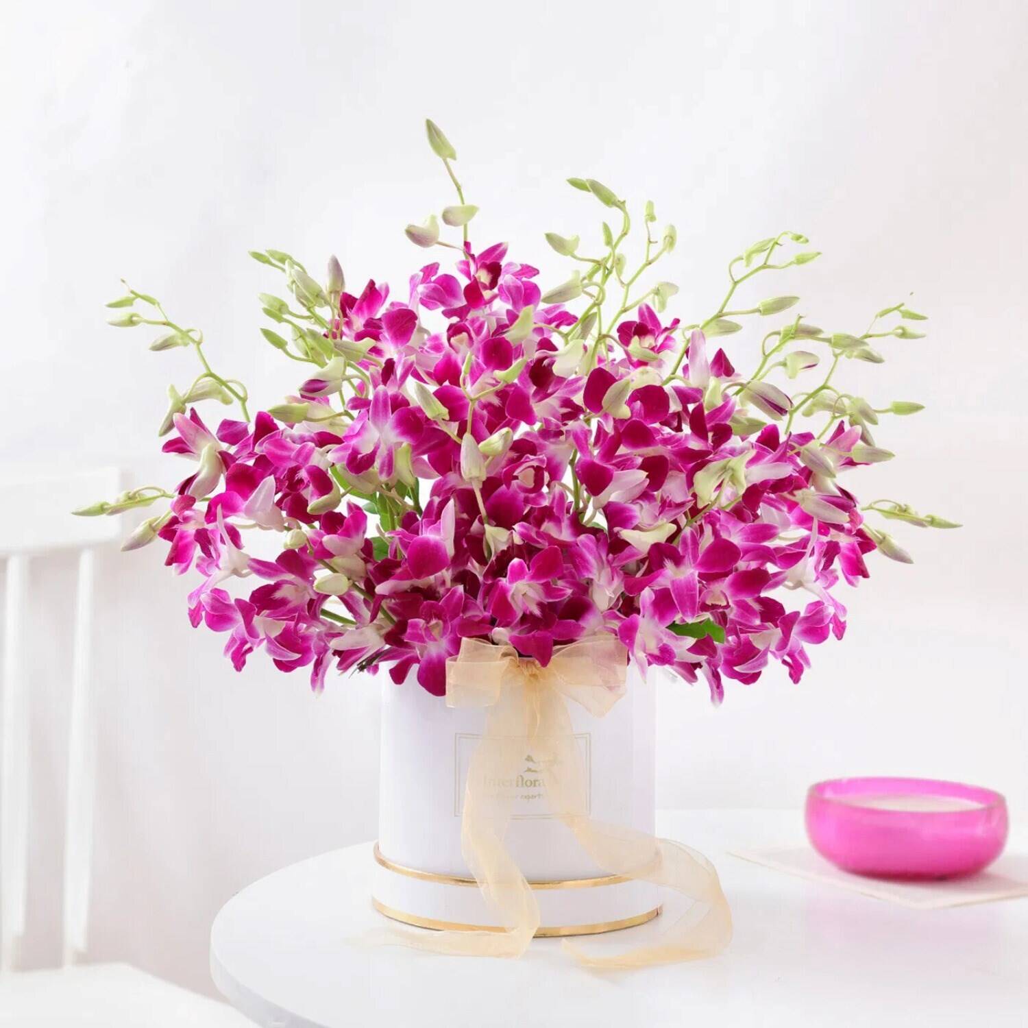 orchidee, Blumenarrangement, pink, Blumenstrauß, Vase, orchidee, Blumenarrangement, pink, Bouquet, Band aus Band, orchideen, pinke orchideen, blumenarrangement, blumenstrauß, vase, orchideen, Blumenstrauß, pink, frisch, Topfarrangement