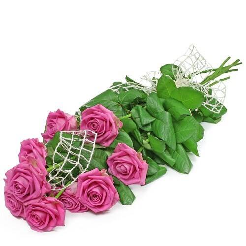 Blume, Rose, Blumen-Arrangement, Blumenstrauß, Blatt, Blume, Rose, Blumen-Arrangement, Blumenstrauß, Blatt, Blume, Rose, Blumen-Arrangement, Blumenstrauß, Blatt, Blume, Rose, Blumen-Arrangement, Blumenstrauß, Blatt