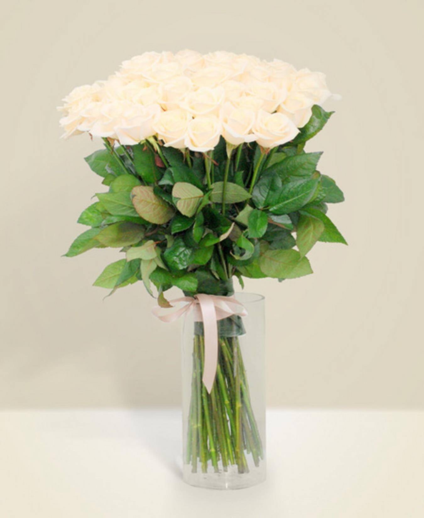 Blume, Blumen-Arrangement, Pflanze, Blumenstrauß, Florales Design, Blume, Blumen-Arrangement, Pflanze, Blumenstrauß, Florales Design, Blume, Blumen-Arrangement, Pflanze, Blumenstrauß, Florales Design, blumen, Blumenstrauß, Rosen, creme, Glassvase
