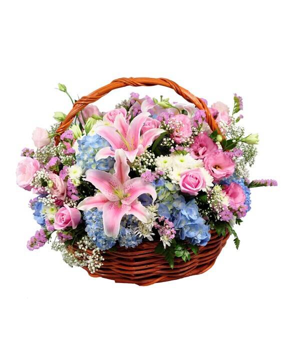 Blume, Blumen-Arrangement, Pflanze, Blumenstrauß, Korb, Blume, Blumen-Arrangement, Pflanze, Blumenstrauß, Korb, Blume, Blumen-Arrangement, Pflanze, Blumenstrauß, Korb, Blume, Blumen-Arrangement, Pflanze, Blumenstrauß, Korb