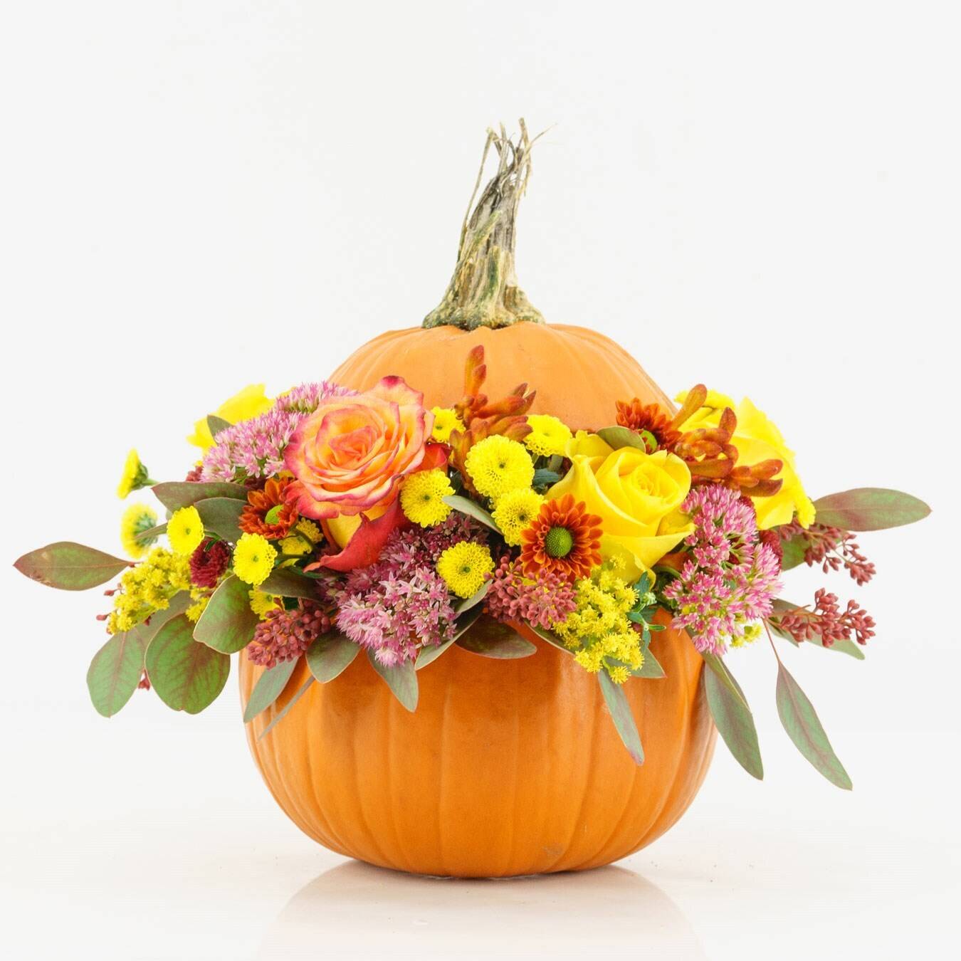 Blume, Blumen-Arrangement, Blumenstrauß, Kürbis, Florales Design, Blume, Blumen-Arrangement, Blumenstrauß, Kürbis, Florales Design, Blume, Blumen-Arrangement, Blumenstrauß, Kürbis, Florales Design