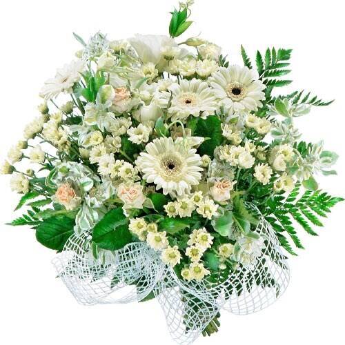Blume, Blumen-Arrangement, Blumenstrauß, Florales Design, Muster, Blume, Blumen-Arrangement, Blumenstrauß, Florales Design, Muster, Blume, Blumen-Arrangement, Blumenstrauß, Florales Design, Muster, Blumenstrauß, Blumen, Creme, Weiß, Farn