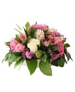 Blume, Blumen-Arrangement, Blumenstrauß, Pflanze, Blume, Blumen-Arrangement, Blumenstrauß, Pflanze, Blume, Blumen-Arrangement, Blumenstrauß, Pflanze, Blume, Blumen-Arrangement, Blumenstrauß, Pflanze, Blume, Blumen-Arrangement, Blumenstrauß, Pflanze