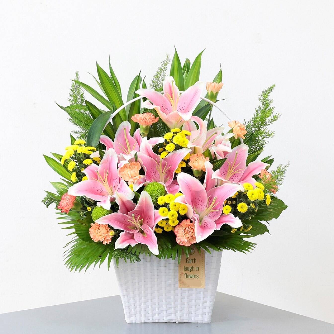 Blume, Blumen-Arrangement, Pflanze, Blumenstrauß, Muster, Blume, Blumen-Arrangement, Pflanze, Blumenstrauß, Muster, Blume, Blumen-Arrangement, Pflanze, Blumenstrauß, Muster, Blume, Blumen-Arrangement, Pflanze, Blumenstrauß, Muster