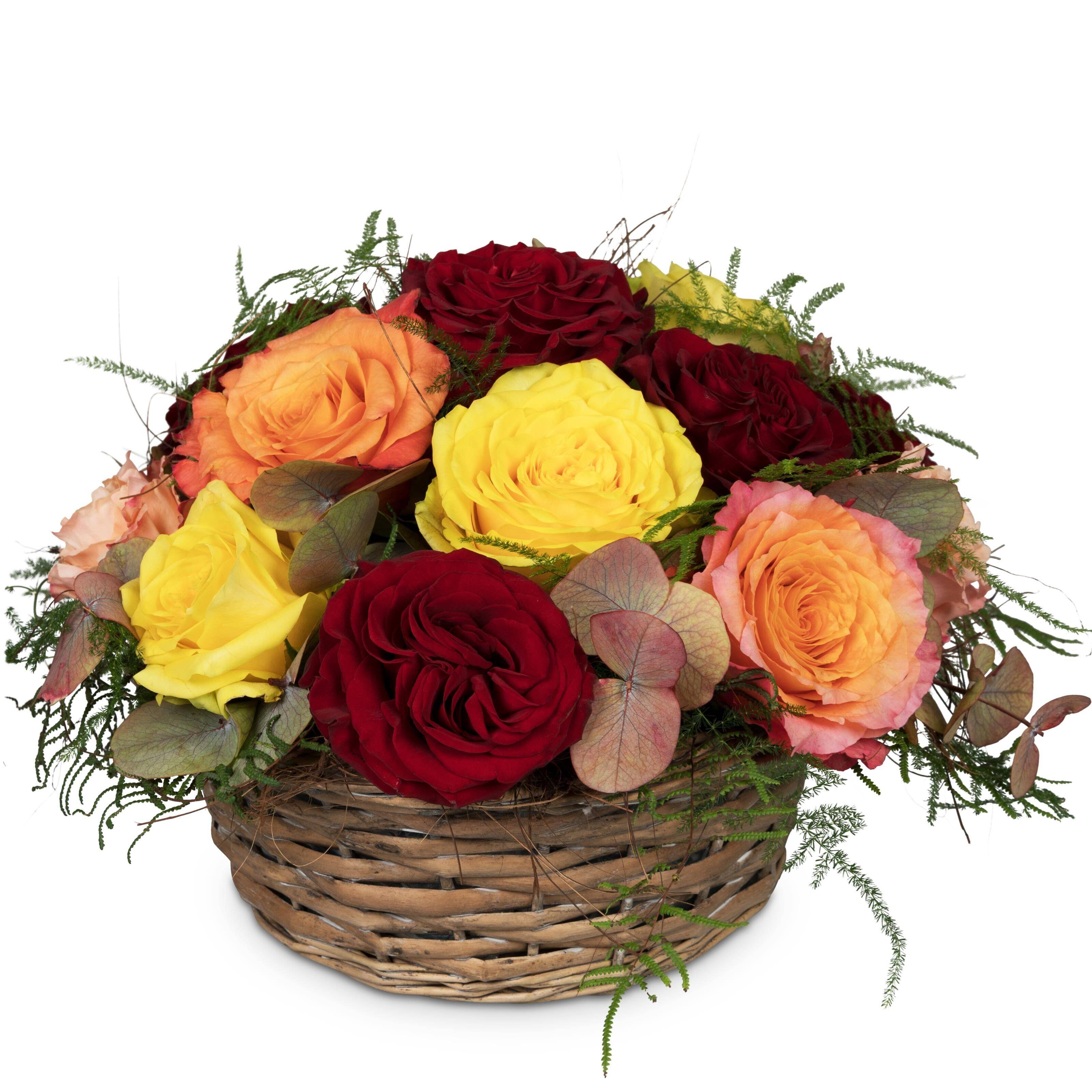 Blume, Blumen-Arrangement, Pflanze, Blumenstrauß, Rose, Blume, Blumen-Arrangement, Pflanze, Blumenstrauß, Rose, Blume, Blumen-Arrangement, Pflanze, Blumenstrauß, Rose, Blume, Blumen-Arrangement, Pflanze, Blumenstrauß, Rose