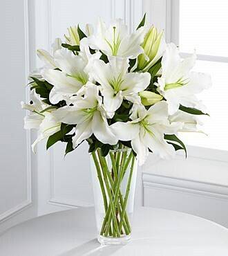 Blume, Pflanze, Blumen-Arrangement, Blumenstrauß, Blume, Pflanze, Blumen-Arrangement, Blumenstrauß, Blume, Pflanze, Blumen-Arrangement, Blumenstrauß, Blume, Pflanze, Blumen-Arrangement, Blumenstrauß, Blume, Pflanze, Blumen-Arrangement, Blumenstrauß