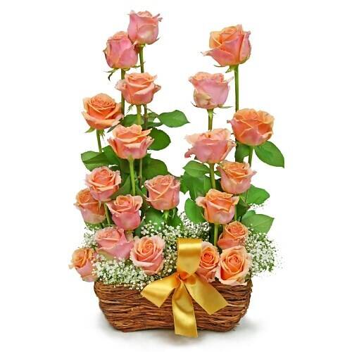 Blume, Pflanze, Rose, Blumen-Arrangement, Blumenstrauß, Blume, Pflanze, Rose, Blumen-Arrangement, Blumenstrauß, Blume, Pflanze, Rose, Blumen-Arrangement, Blumenstrauß, Blume, Pflanze, Rose, Blumen-Arrangement, Blumenstrauß