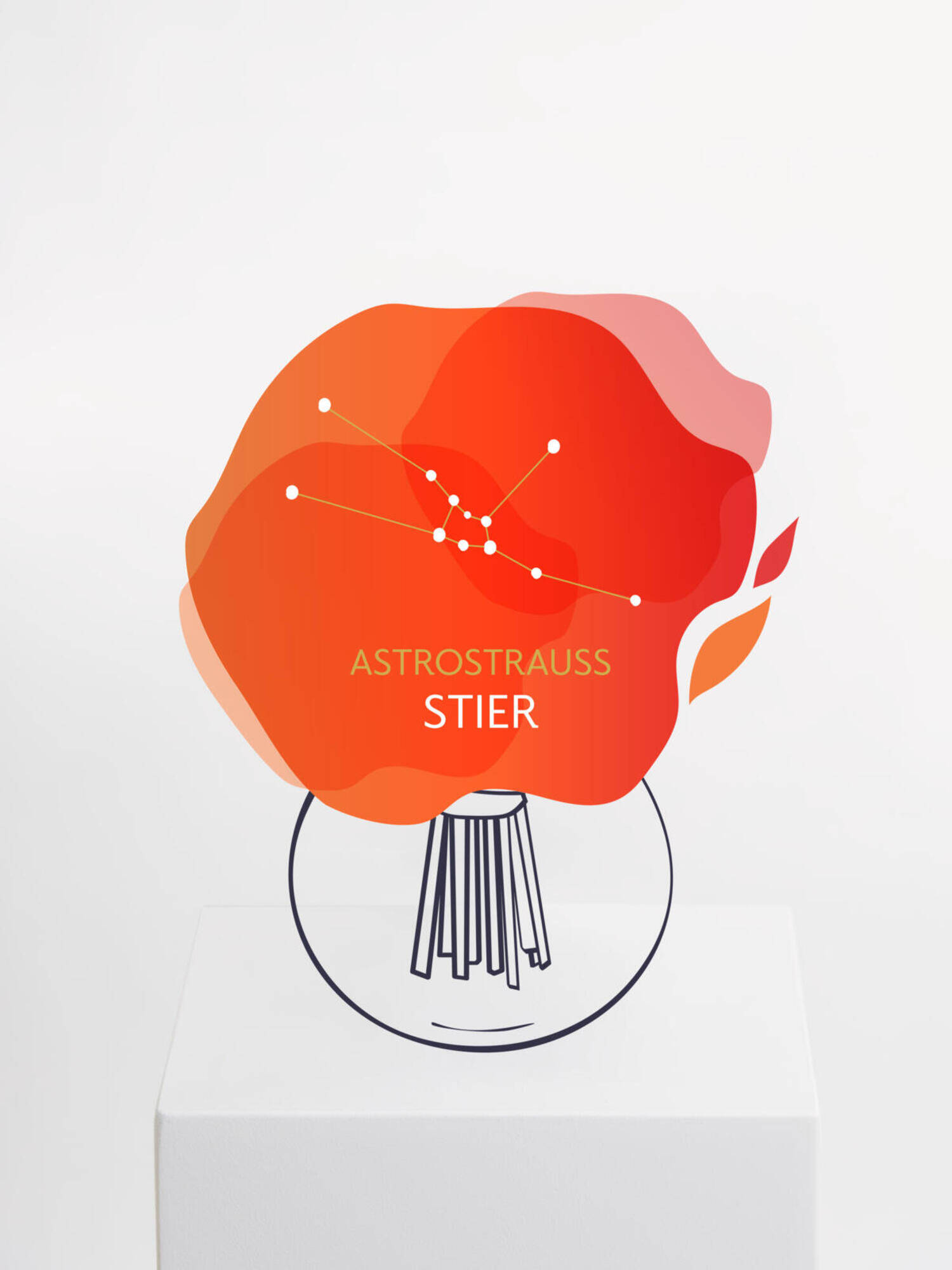 Astrostrauß Stier