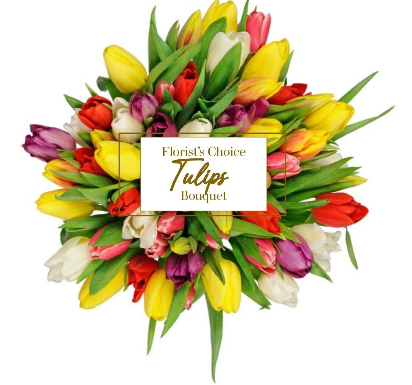 Blume, Blumen-Arrangement, Blumenstrauß, Florales Design, Grafiken, Blume, Blumen-Arrangement, Blumenstrauß, Florales Design, Grafiken, Blume, Blumen-Arrangement, Blumenstrauß, Florales Design, Grafiken, tulpen, Blumenstrauß, Blumen, bunt, Anordnung